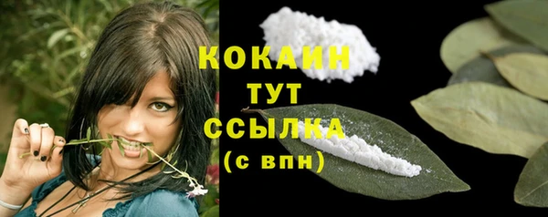 apvp Бородино