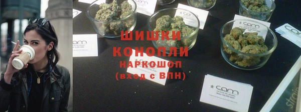 apvp Бородино