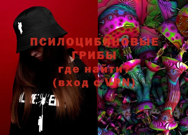 apvp Бородино