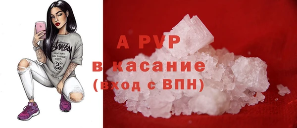 apvp Бородино