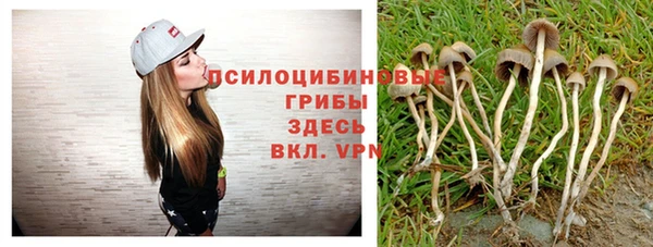 apvp Бородино
