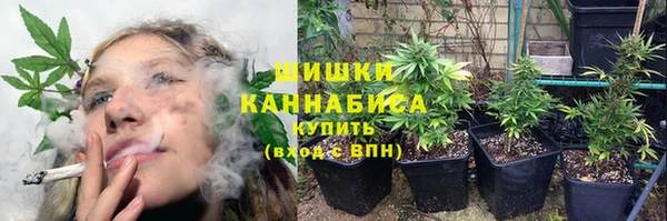 apvp Бородино