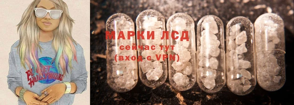 apvp Бородино