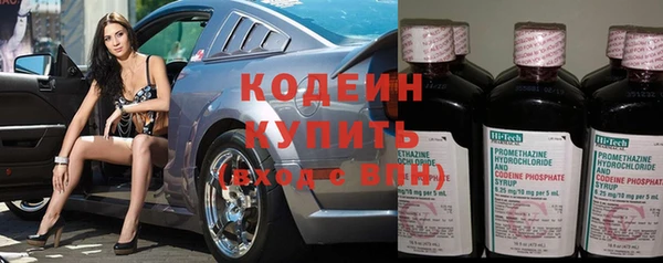 apvp Бородино