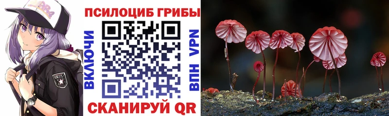 купить  цена  Галич  Псилоцибиновые грибы прущие грибы 